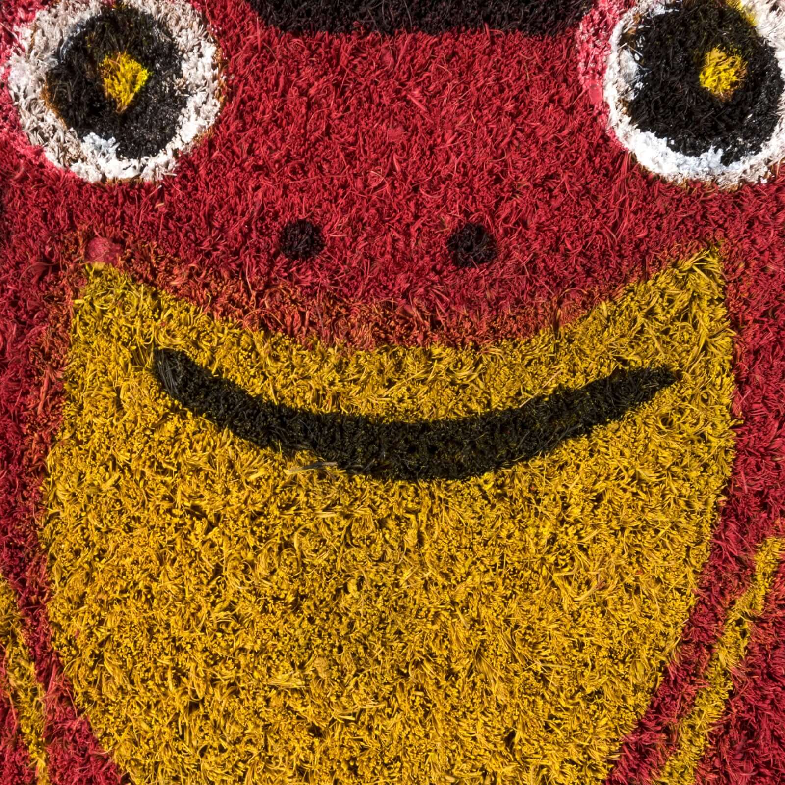 Tapete de Entrada Ranas | Tapete de Entrada Welcome