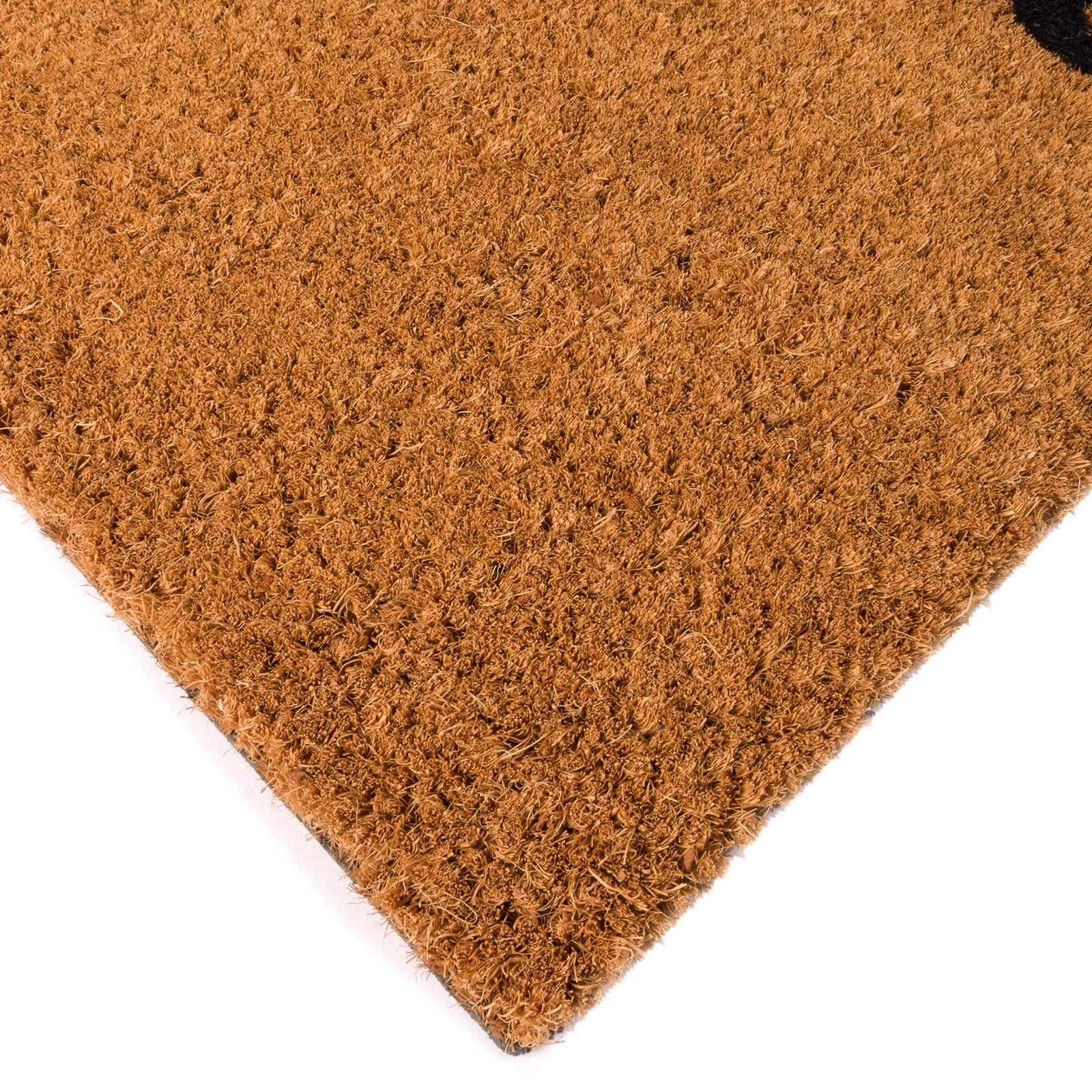 Tapete de Entrada | Alfombra para Entrada Gato