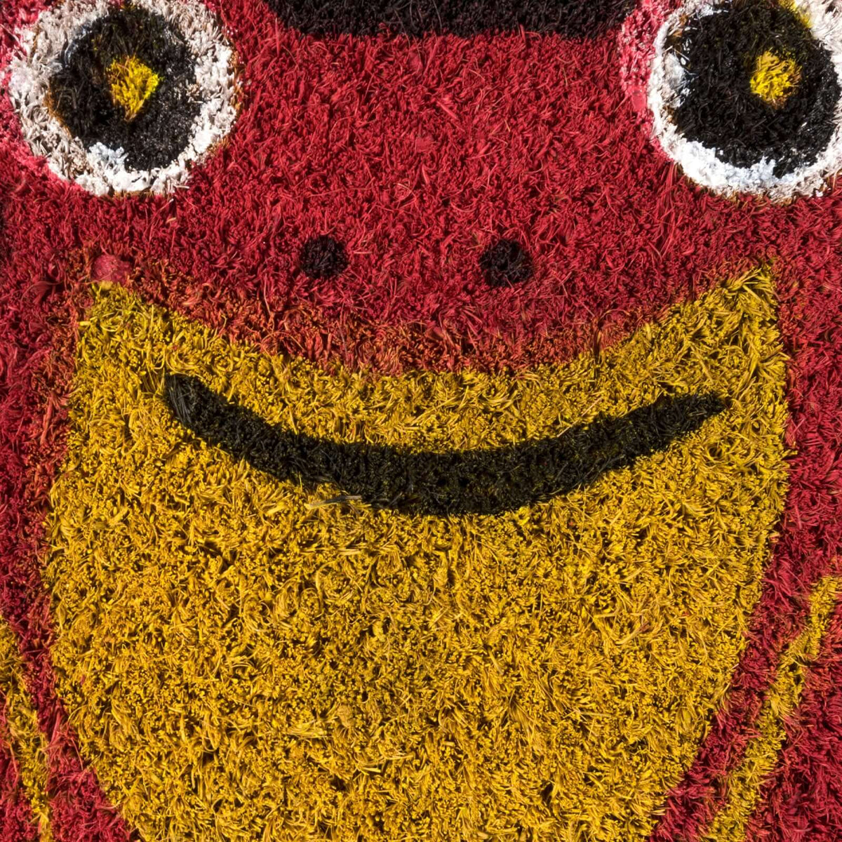 Tapete de Entrada Ranas | Tapete de Entrada Welcome